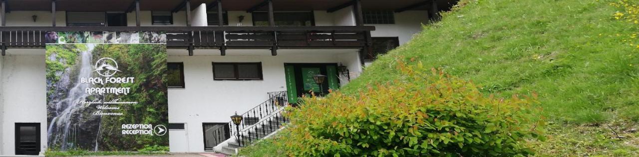 Be Me Black Forest Family Apartment -Zum Letzten G'Stehr Bad Rippoldsau-Schapbach Екстериор снимка